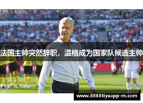 法国主帅突然辞职，温格成为国家队候选主帅